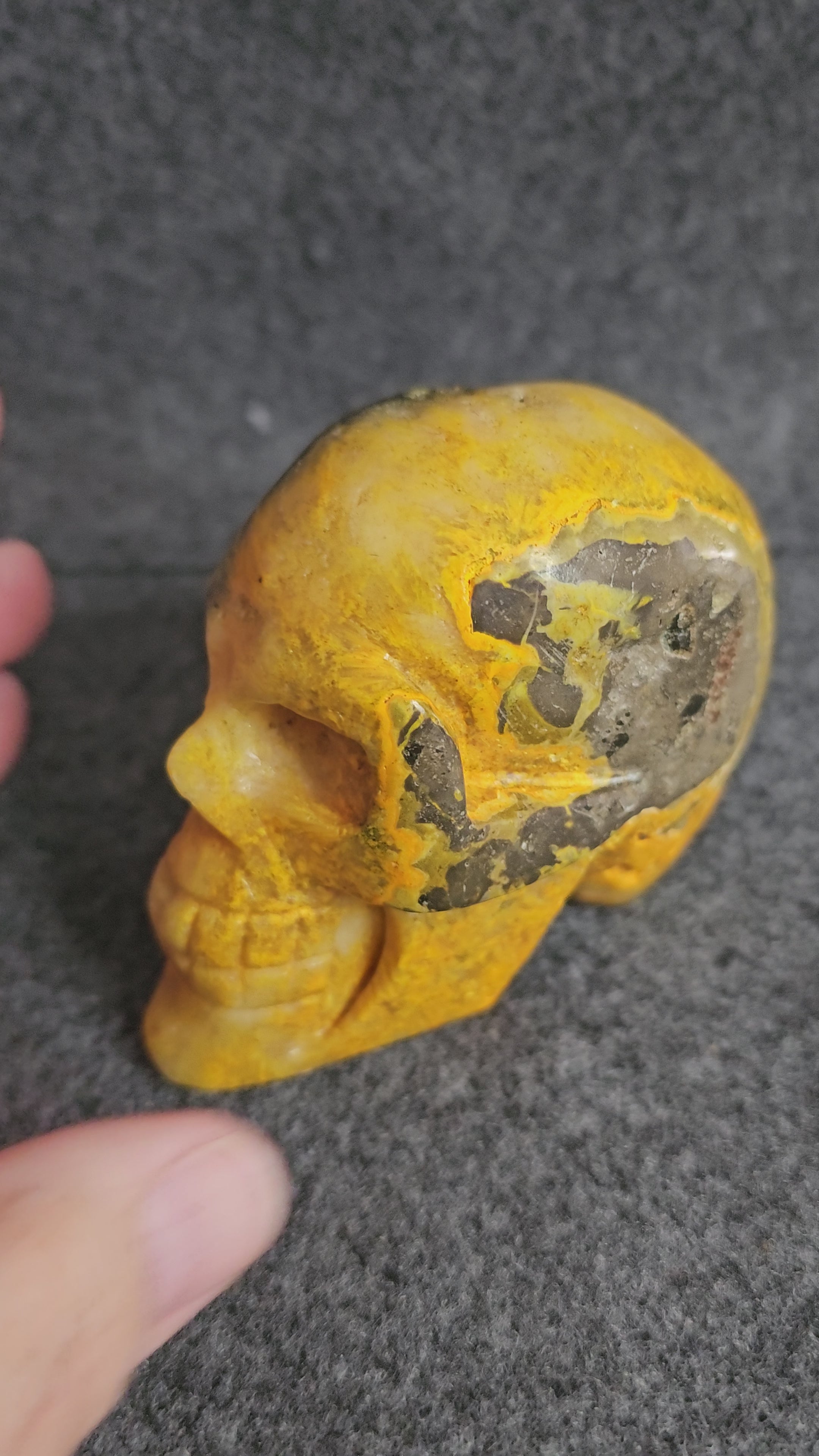 Bumblebee Jasper Skull