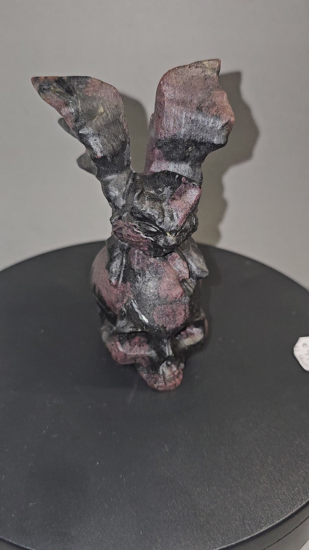 Garnet Astrophyllite Skull with Bat Carving – 4.5 Inch Gothic Crystal Skull