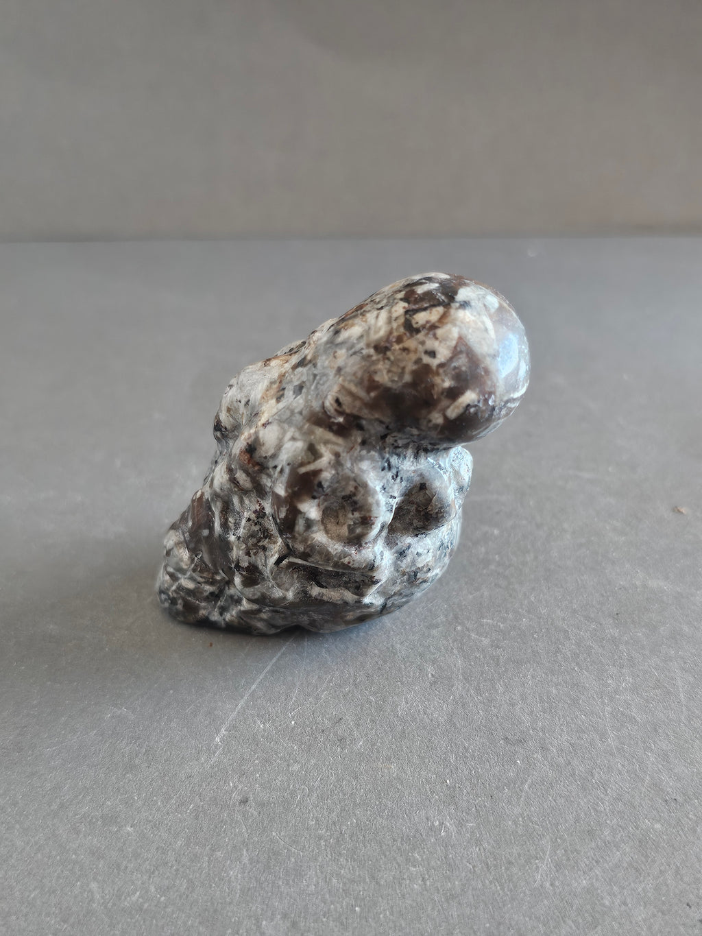 Octopus on Skull – Jade, Blue Aventurine, Sodalite, or Emberlite | 2.5 Inches