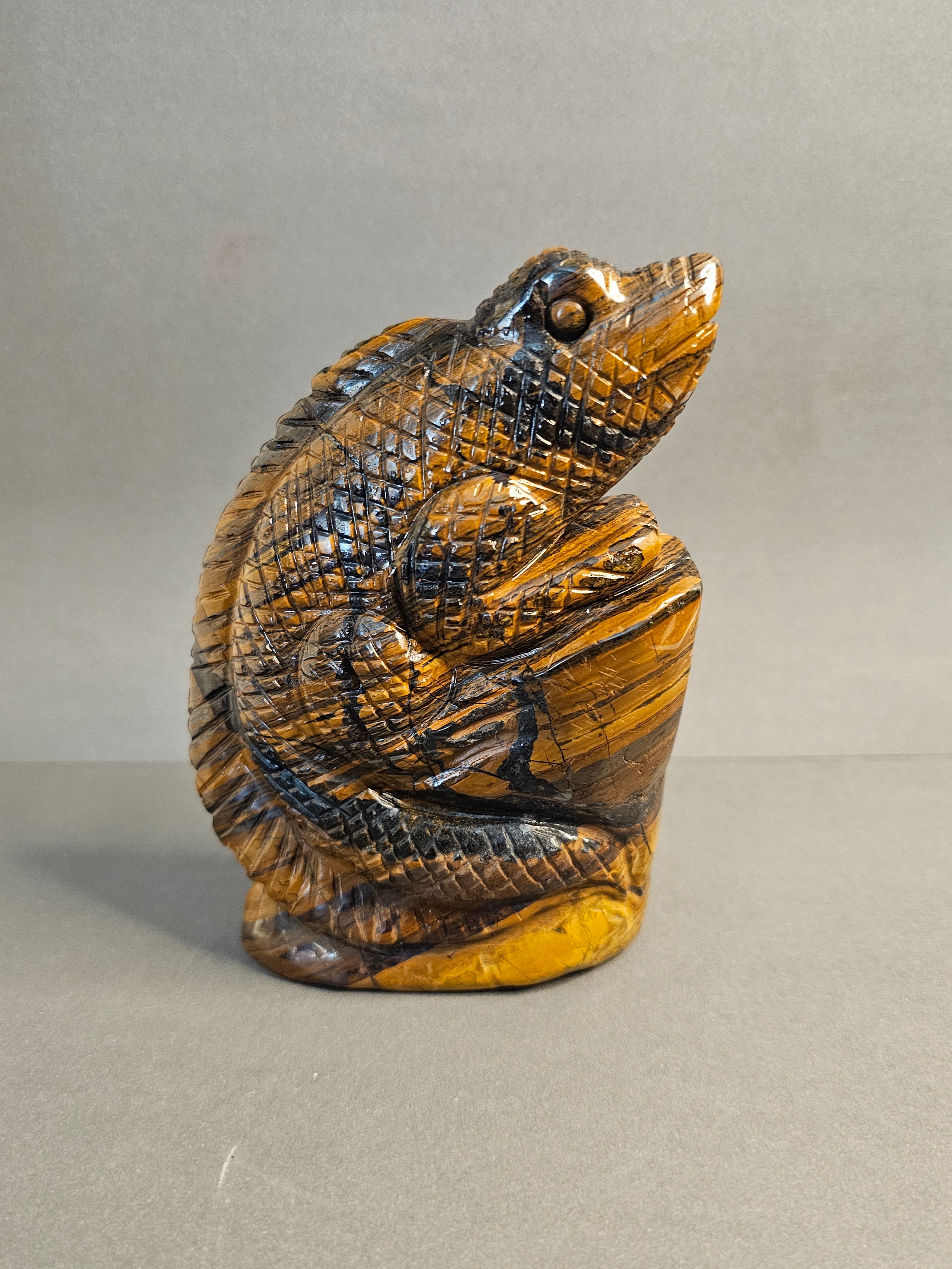 Right side of Tiger's Eye Lizard, option 2