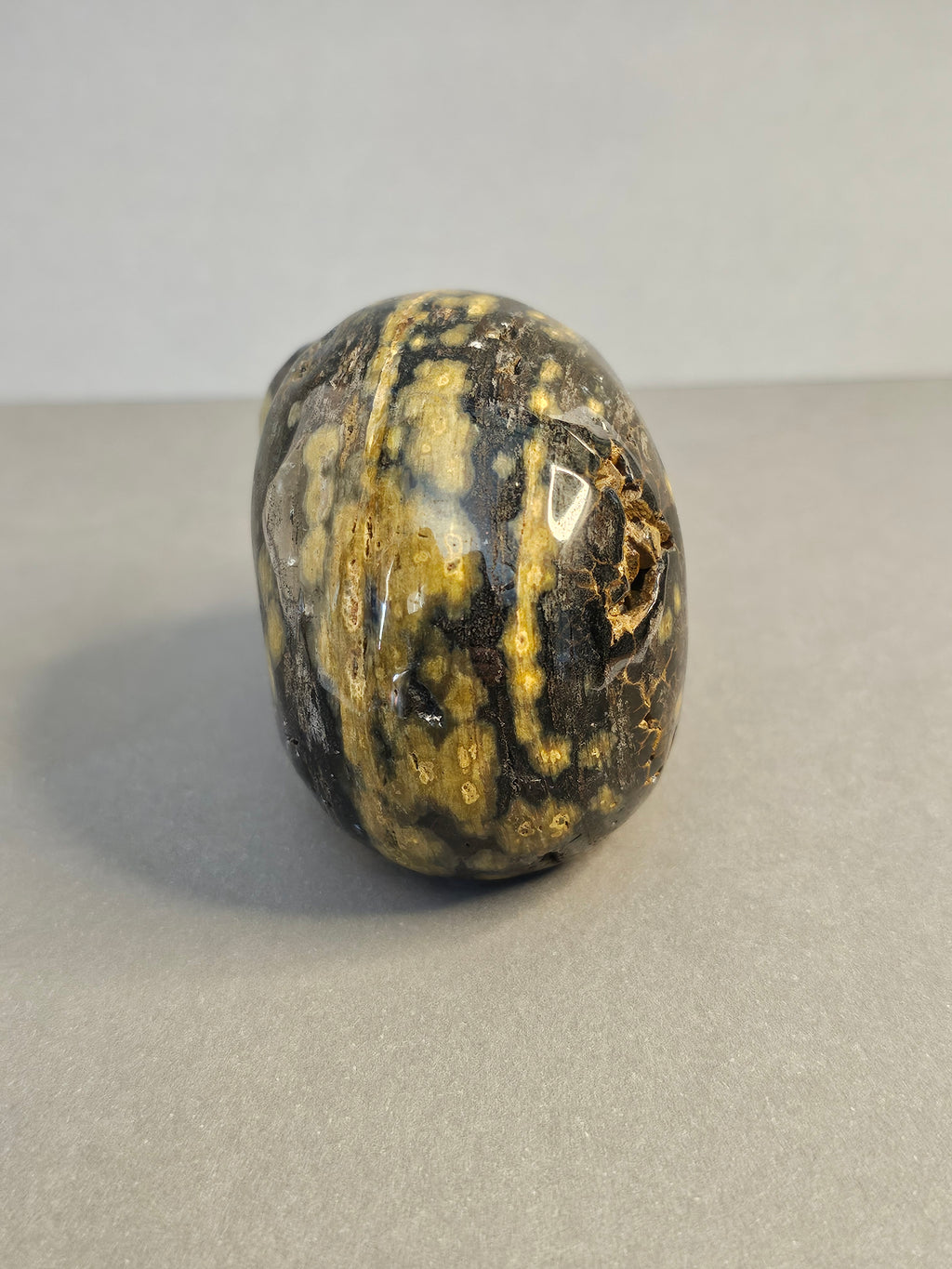 Ocean Jasper Skull – Orbicular Pattern Crystal Skull | 2 Inches