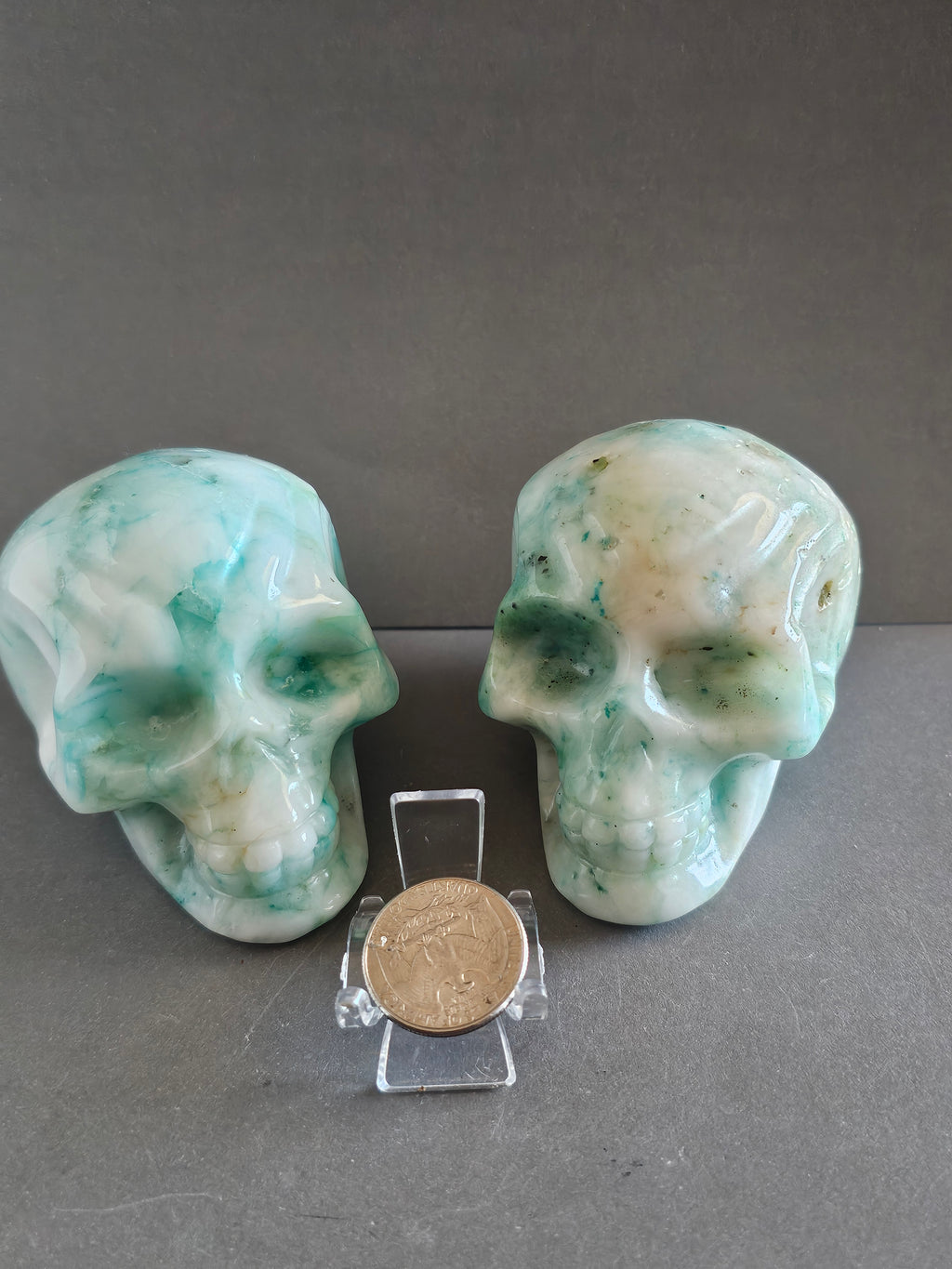 Phoenix Stone Skull – Rebirth & Transformation Crystal Carving | 3.5 Inches