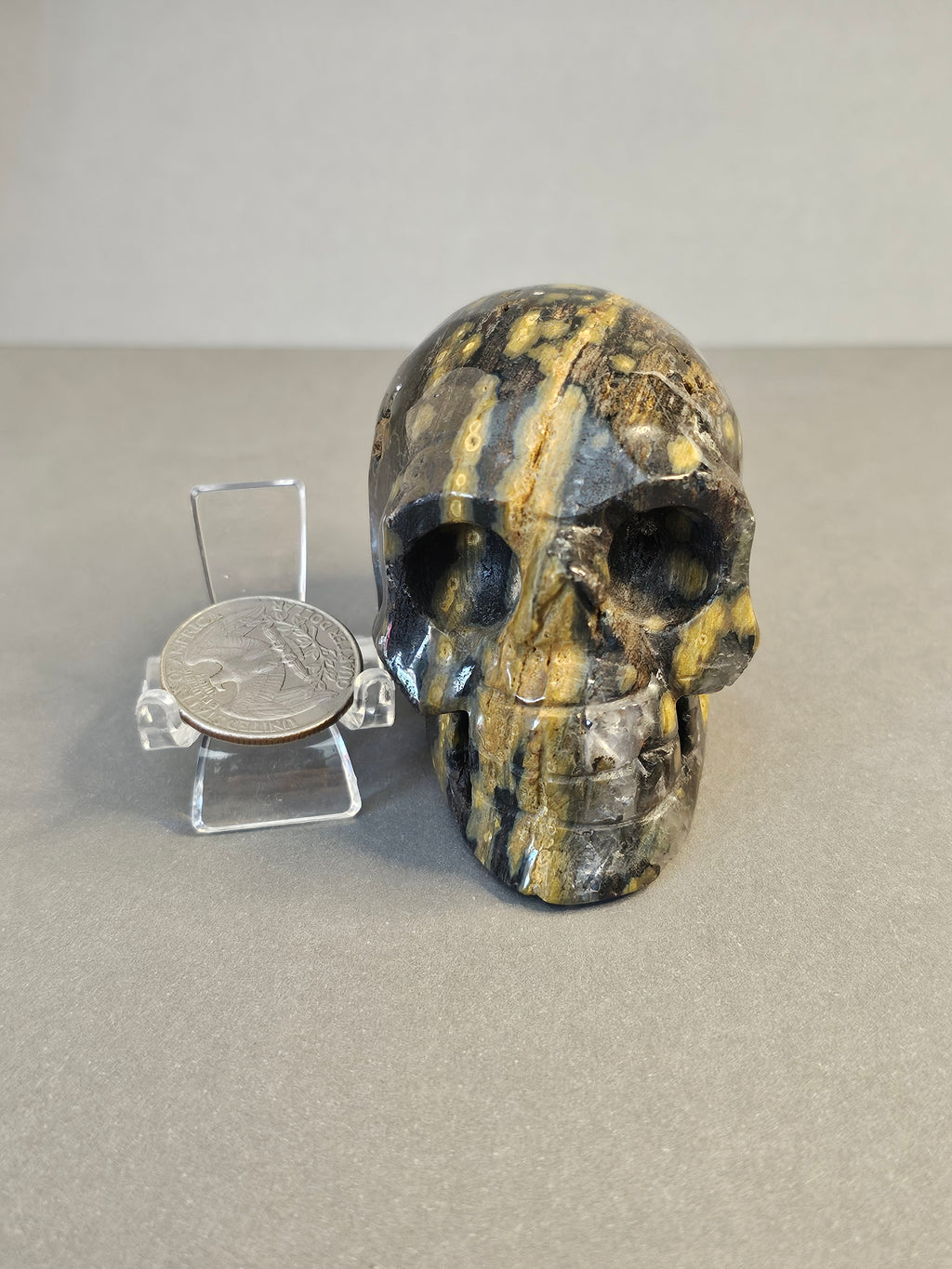 Ocean Jasper Skull – Orbicular Pattern Crystal Skull | 2 Inches
