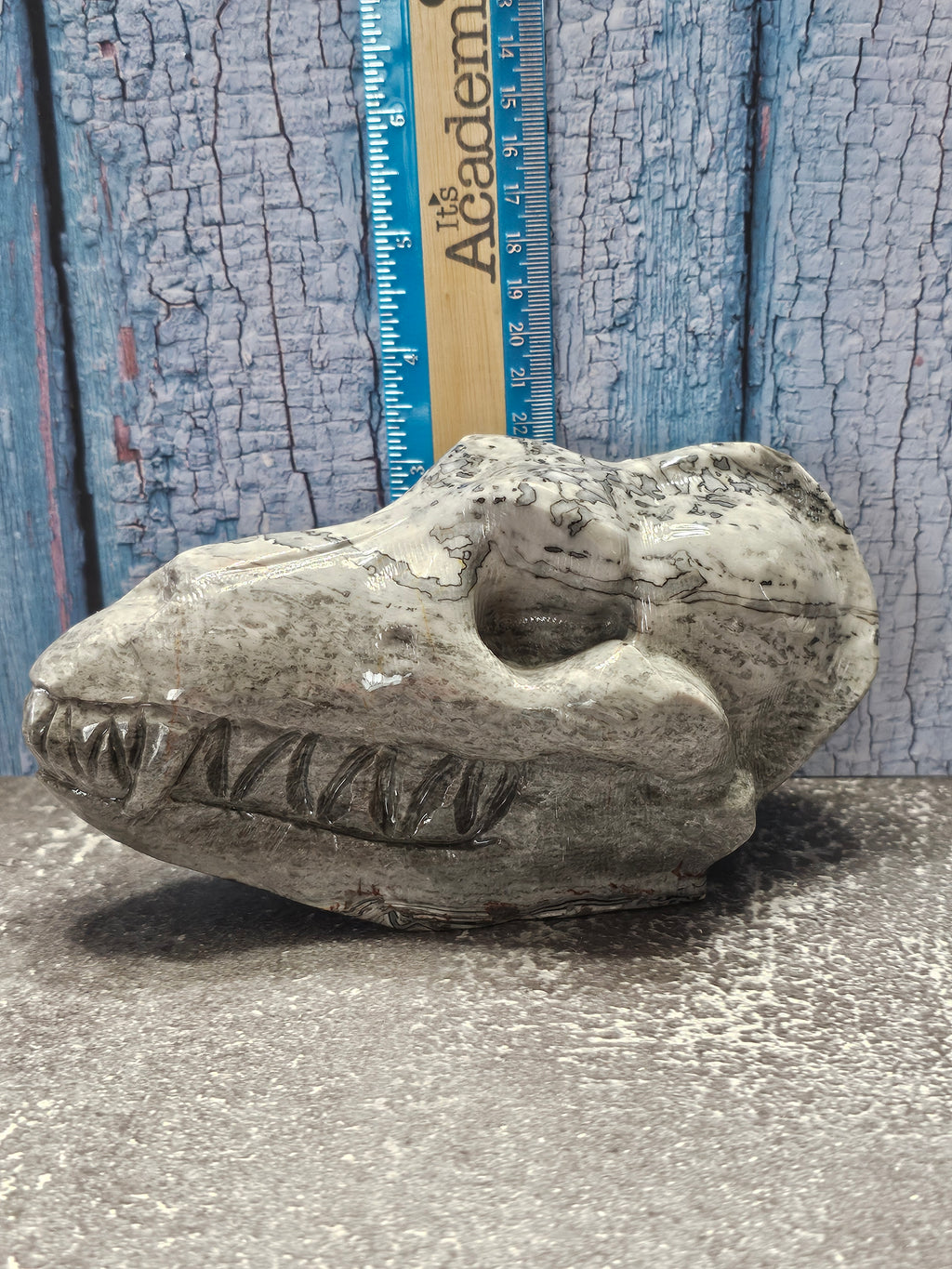 Picasso Jasper Wolf Skull