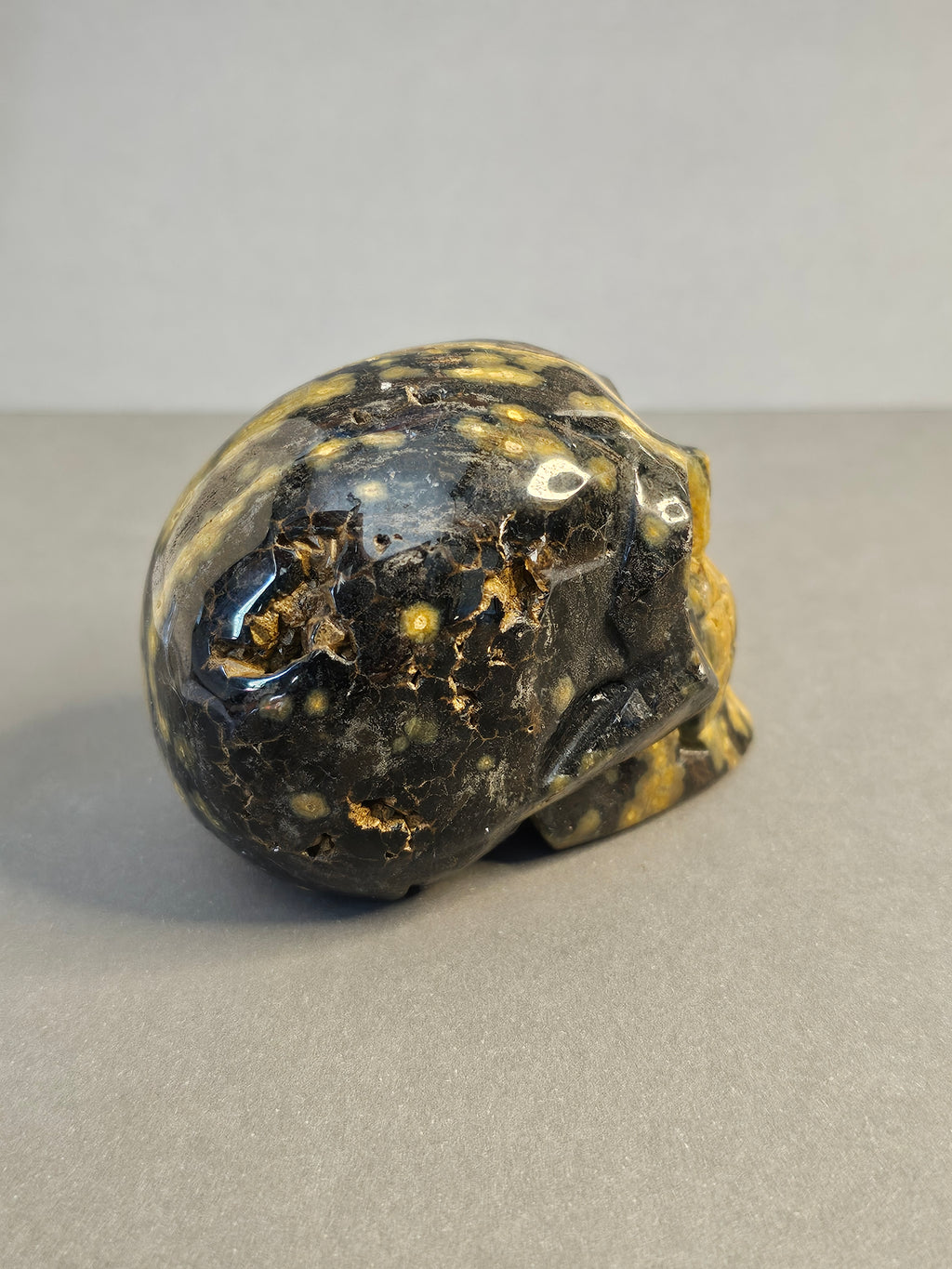 Ocean Jasper Skull – Orbicular Pattern Crystal Skull | 2 Inches