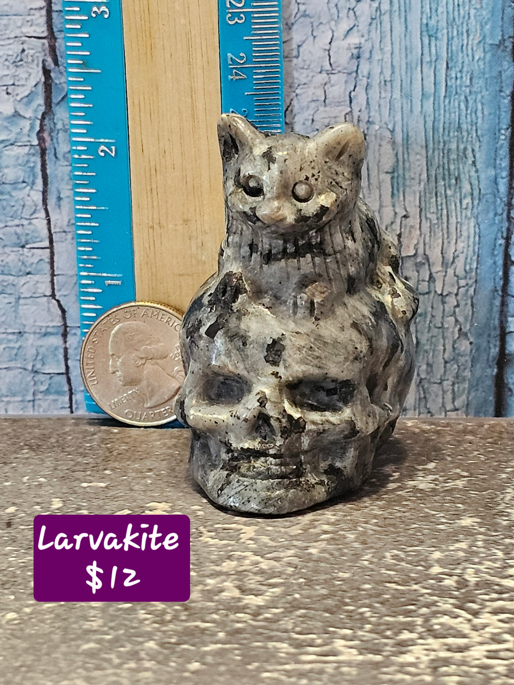 Skull with Cat