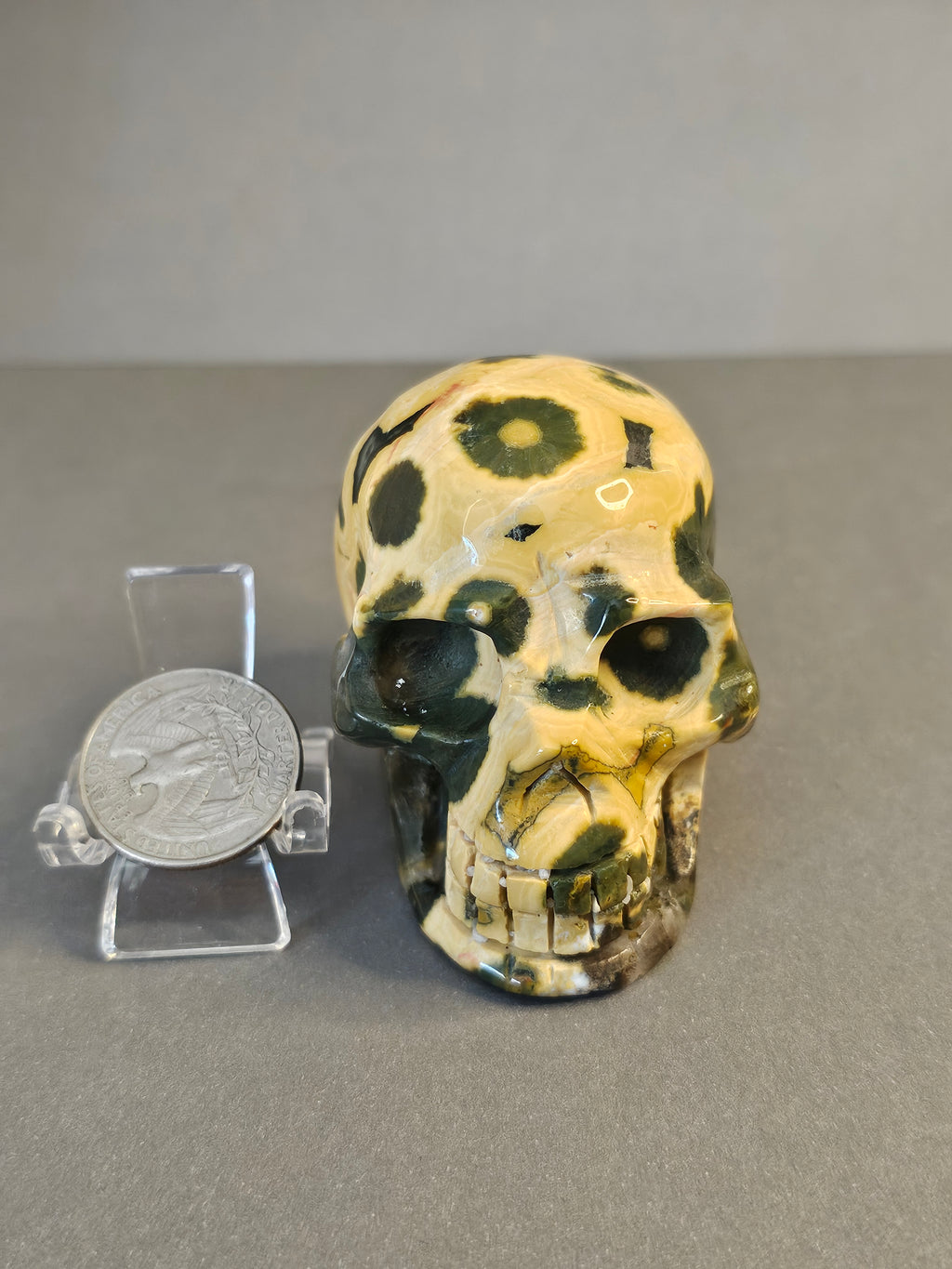 Yellow & Green 8th Vein Ocean Jasper Skull – Orbicular Crystal Skull | 2 Inches