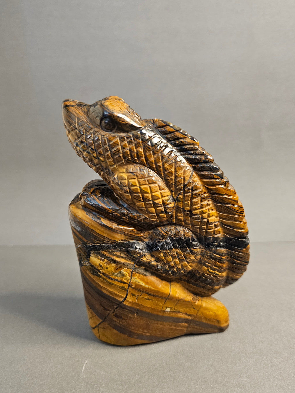 Left side of Tiger's Eye Lizard, option 2