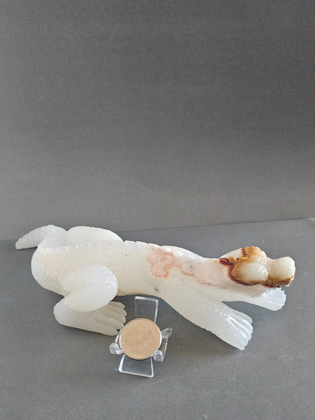 Calcite & Aragonite Alligator Carving – 8” Long | Grounding, Transformation & Primal Energy Crystal