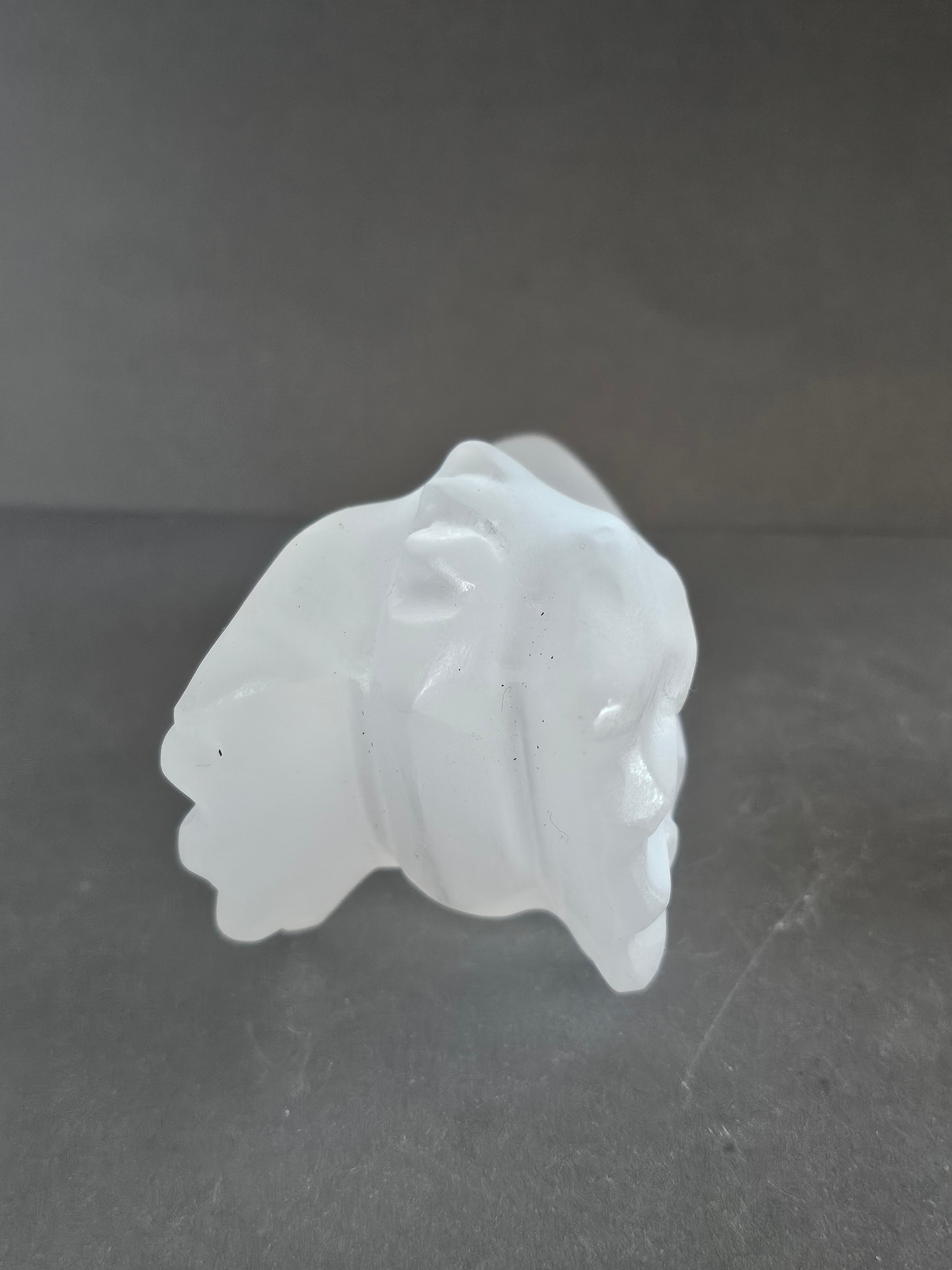 Selenite Dragon Skull Carving – 3.5” | Cleansing, Protection & High Vibration Energy