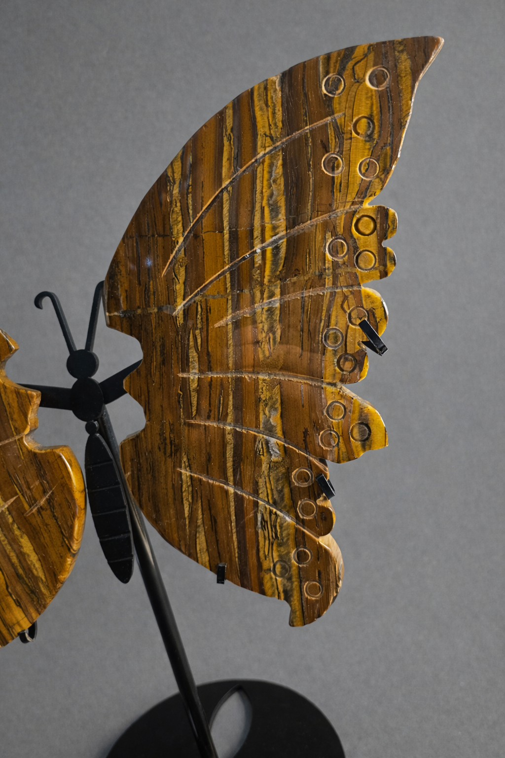 Tiger Iron Butterfly Wings on Stand – Strength & Transformation Crystal Display | 10 Inches Tall