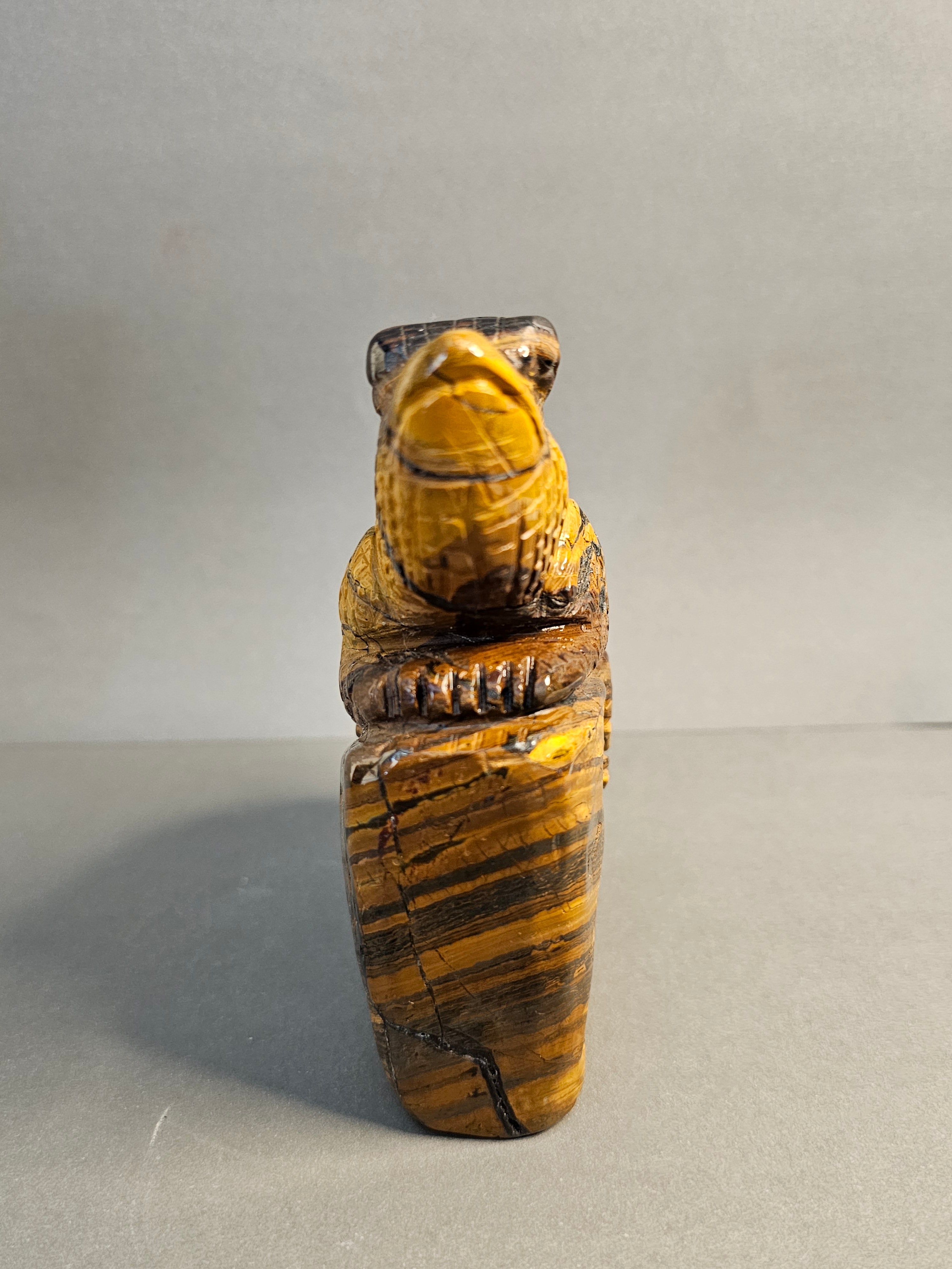 Front side of Tiger's Eye Lizard, option 1