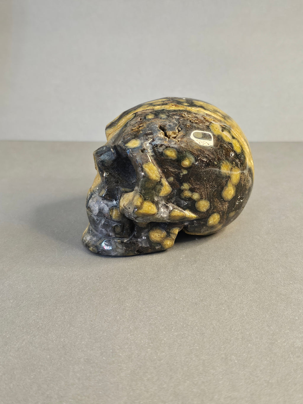 Ocean Jasper Skull – Orbicular Pattern Crystal Skull | 2 Inches