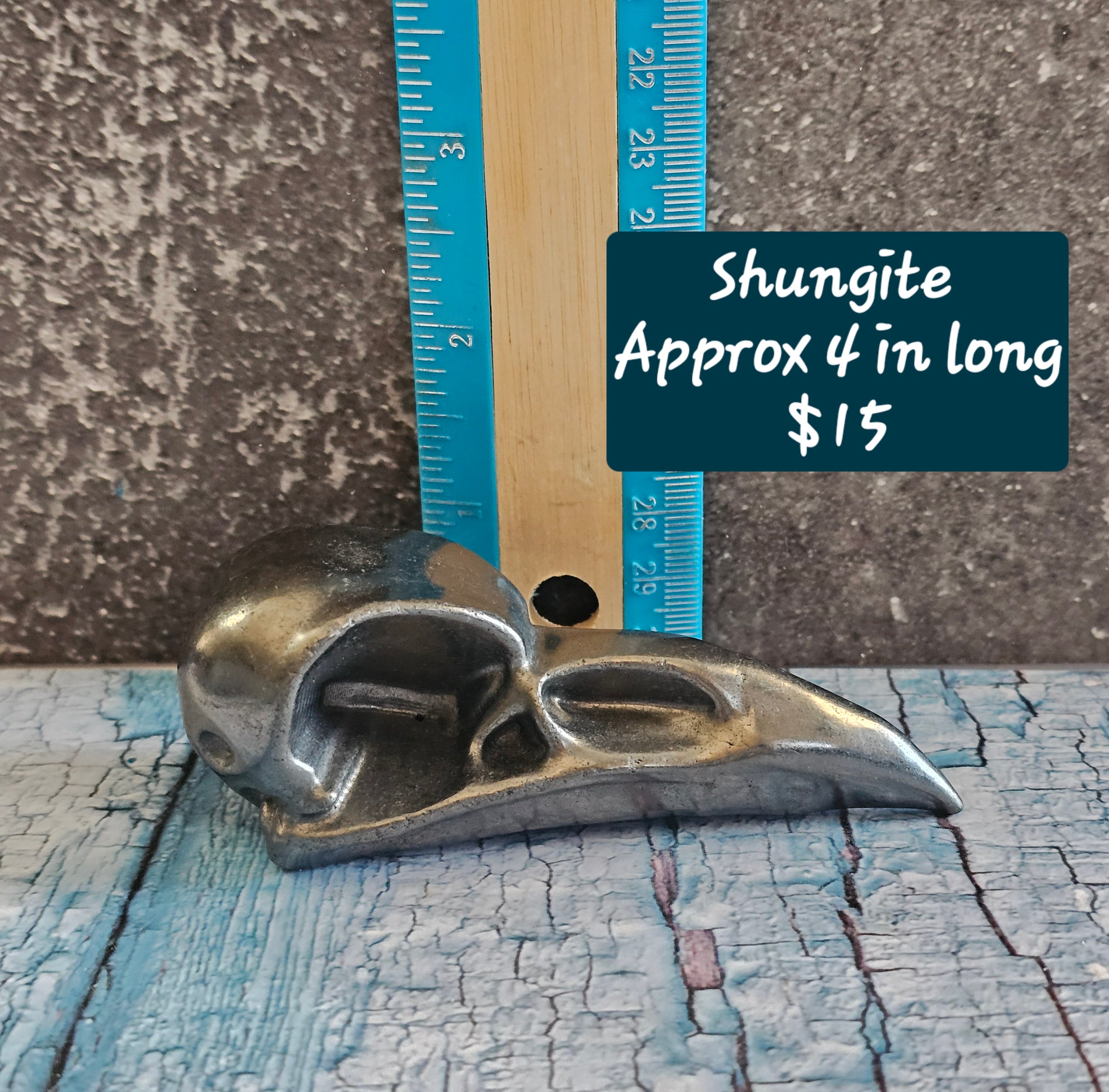 Shungite Raven / Crow Skull