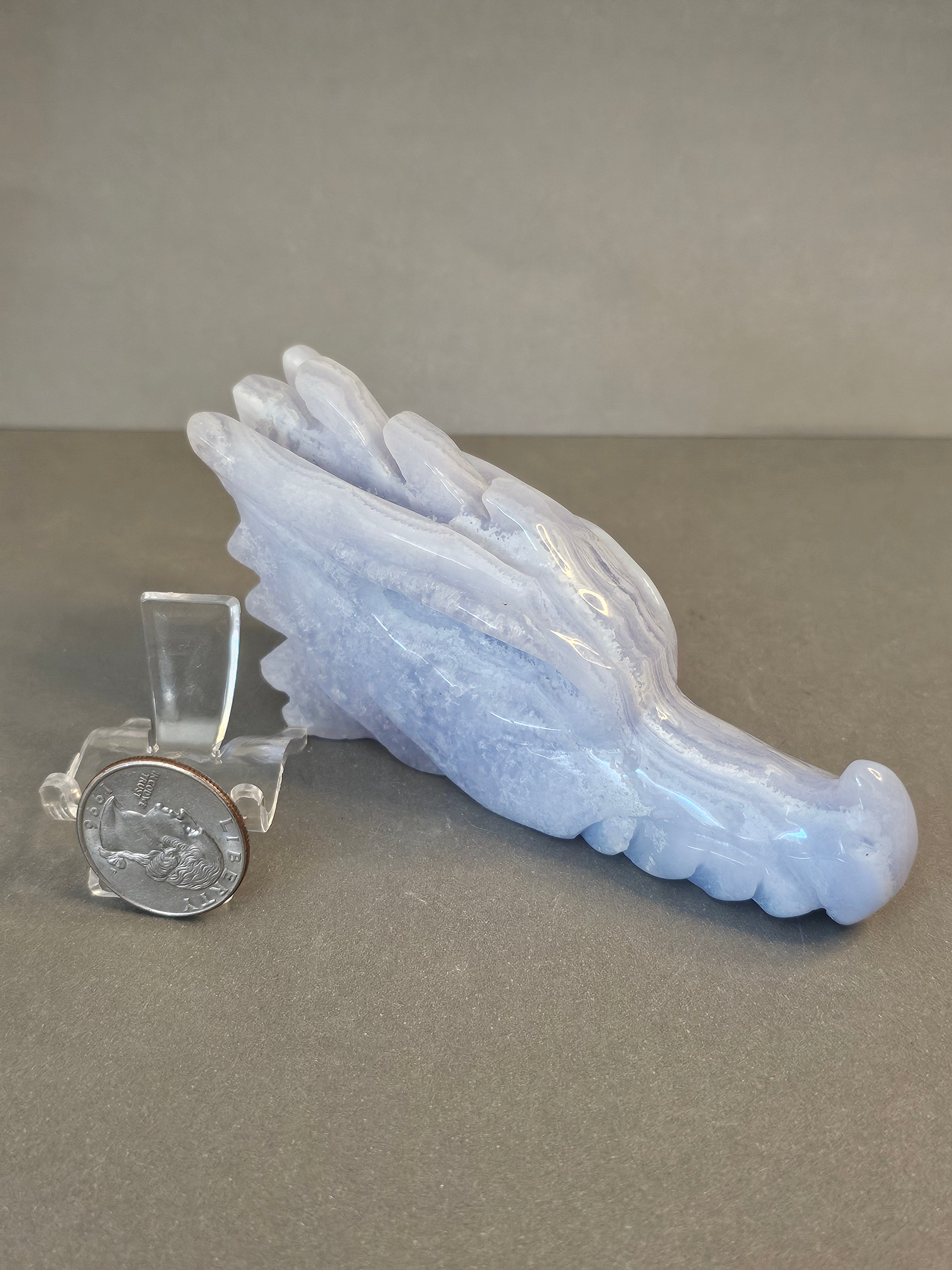 Blue Lace Agate Dragon Skull – Calm Strength & Clarity Crystal | 4 Inches Long