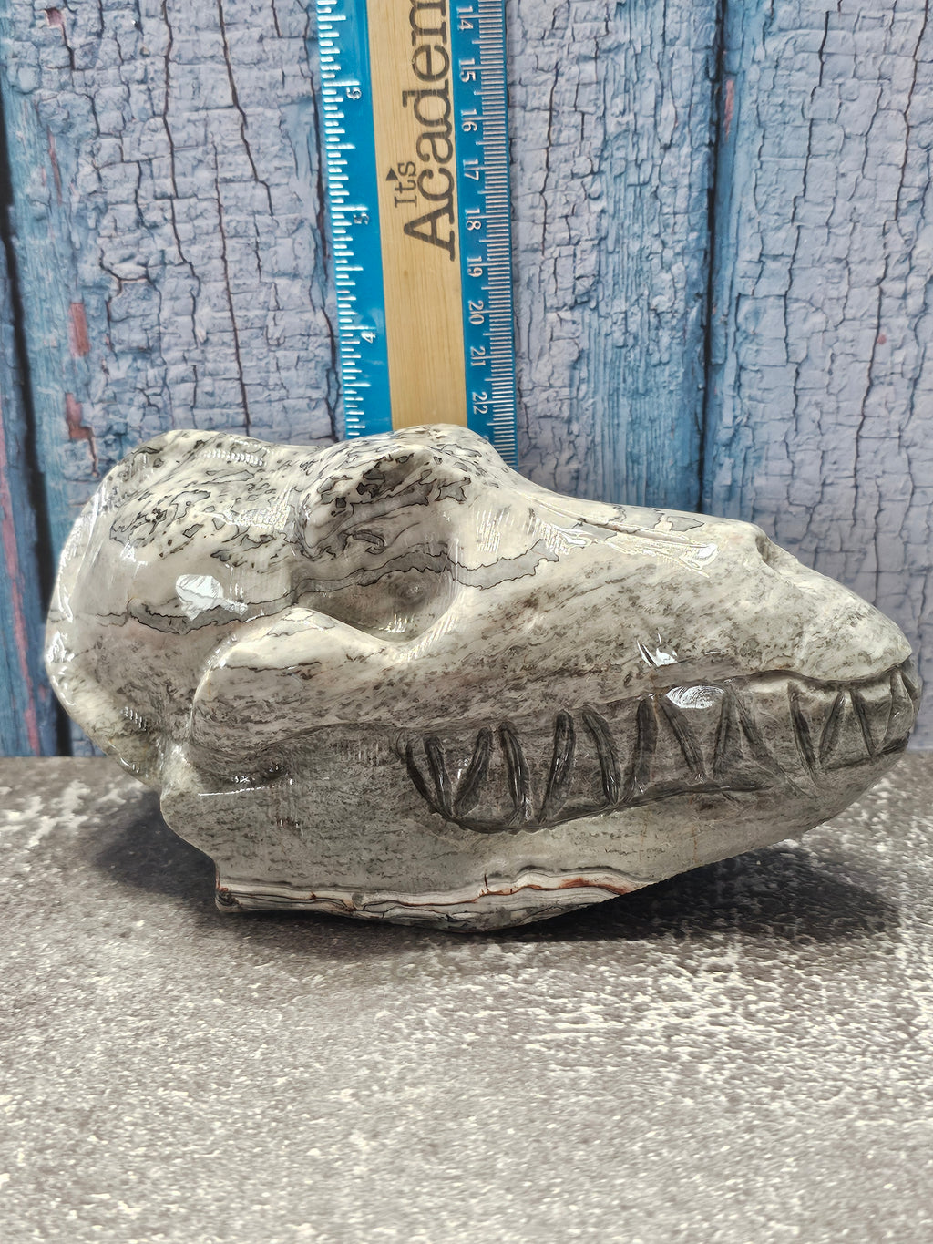 Picasso Jasper Wolf Skull