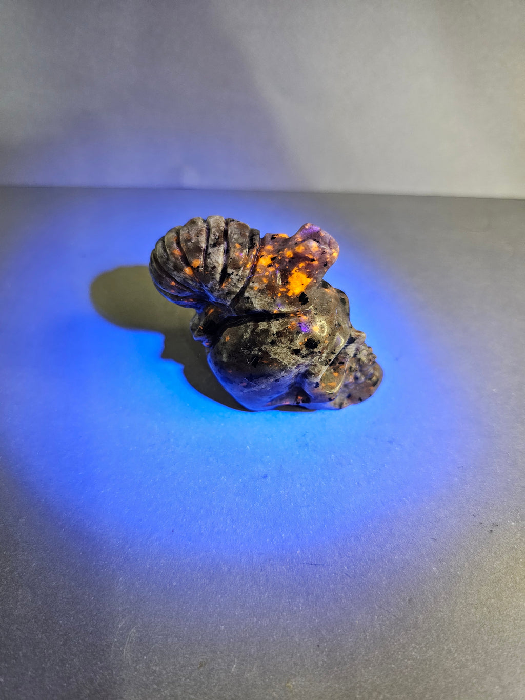 UV Reactive Emberlite Skull with Snail – 2" Dark Collector Carving