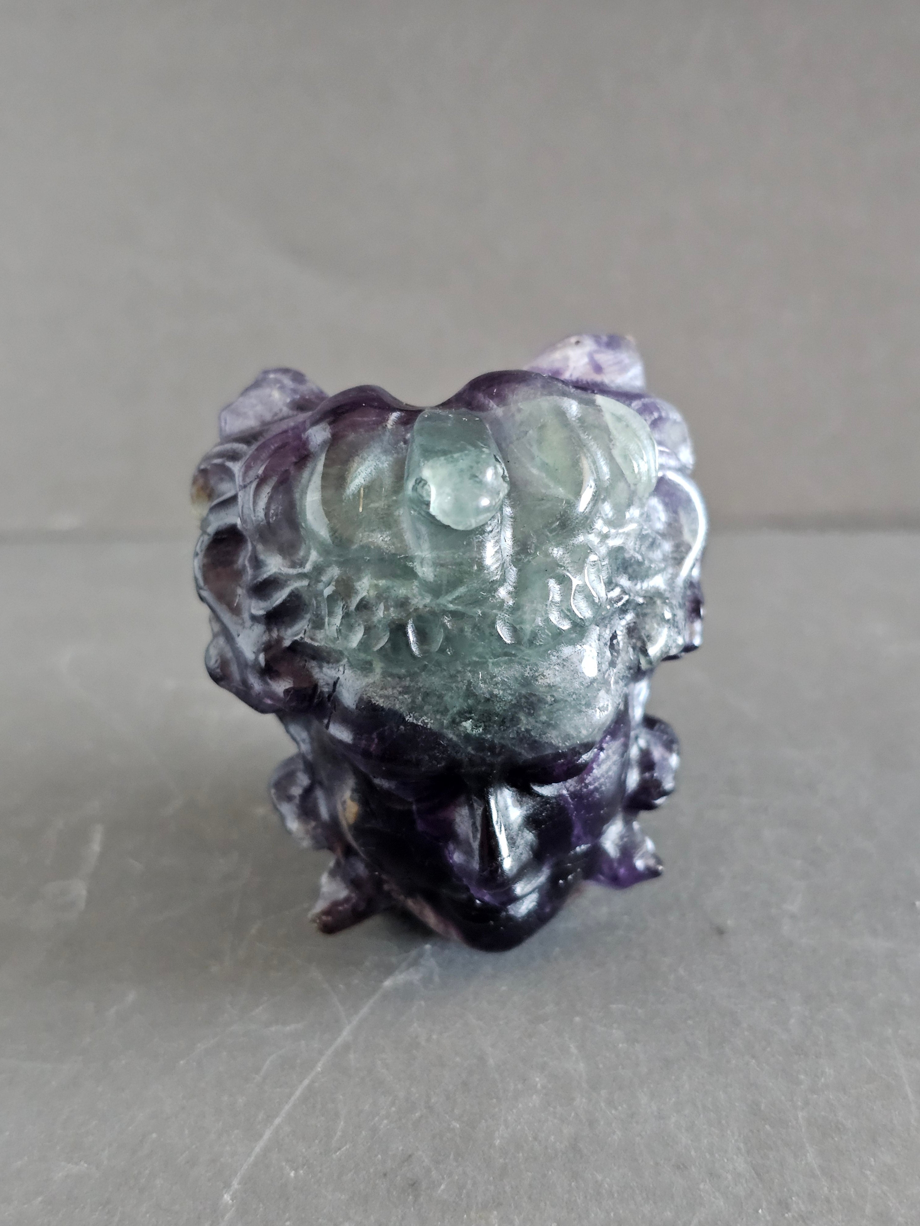 Medusa Head Crystal Carving – 3” Tall | Available in Fluorite, Larvikite & Garnet Astrophyllite
