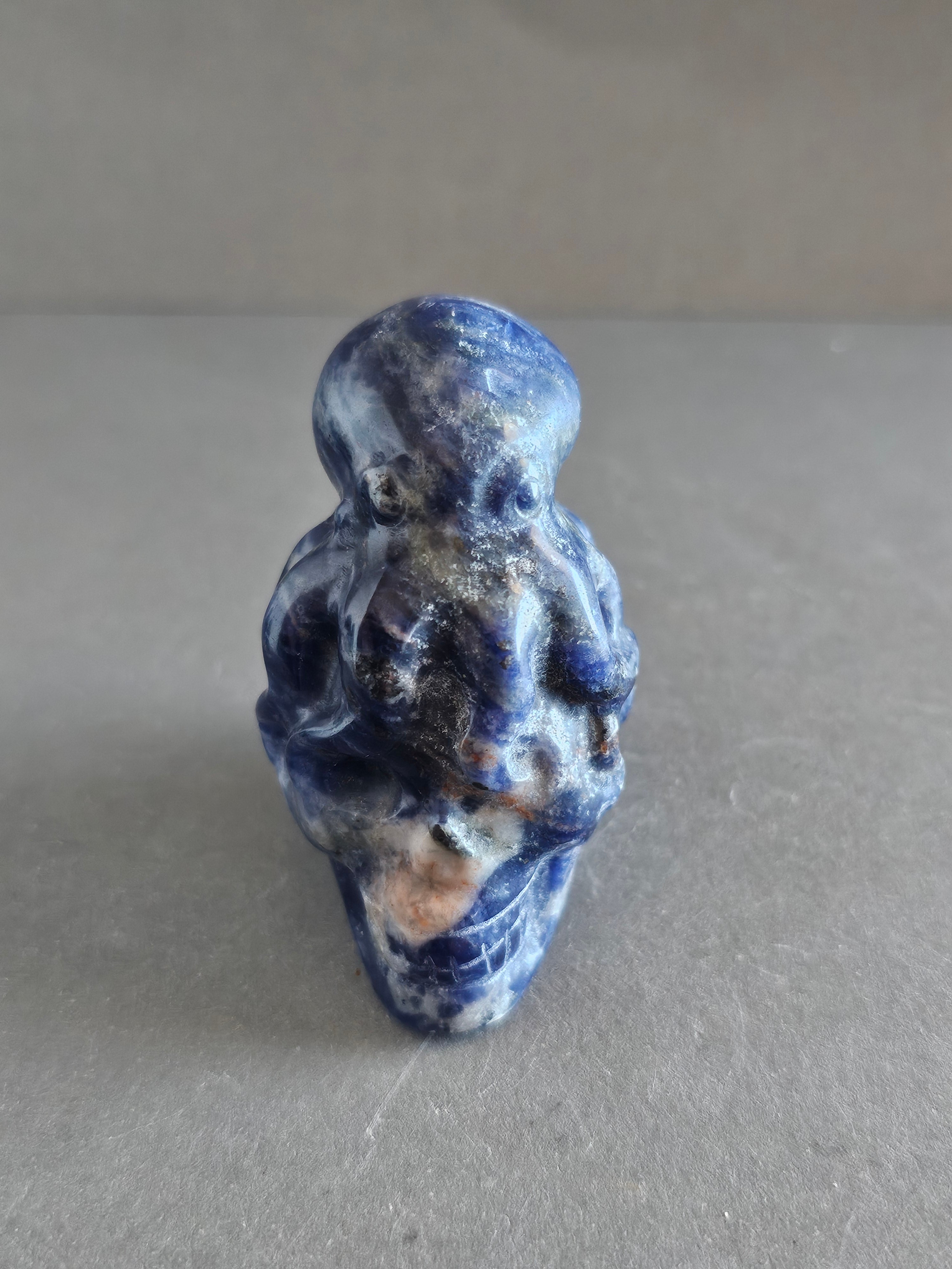 Octopus on Skull – Jade, Blue Aventurine, Sodalite, or Emberlite | 2.5 Inches