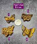 Tiger's Eye Flying Nightmares