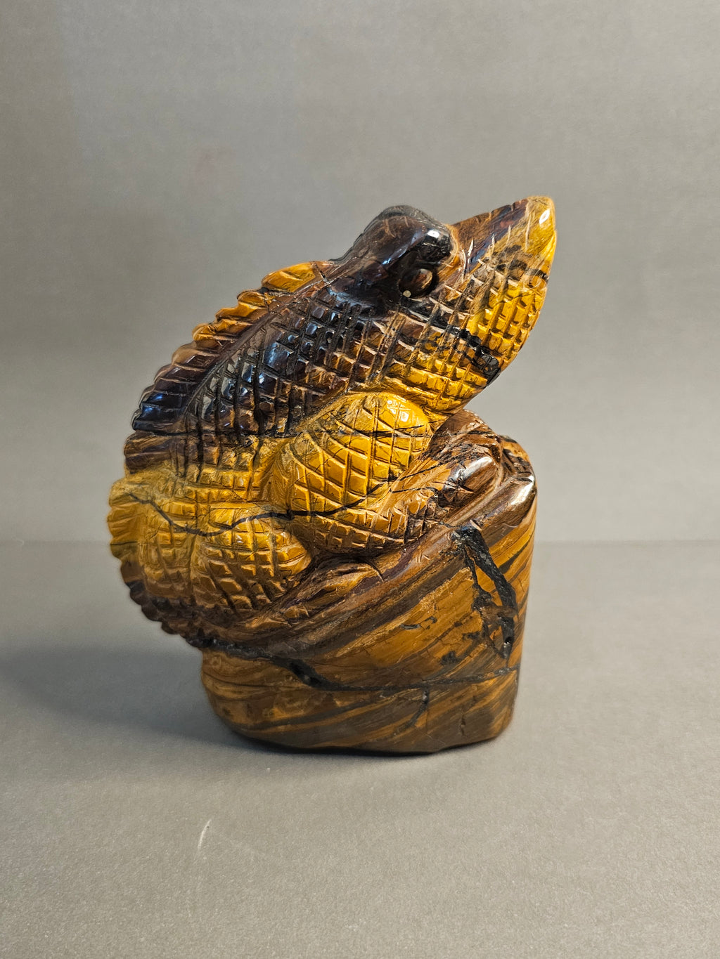 Left side of Tiger's Eye Lizard, option 1