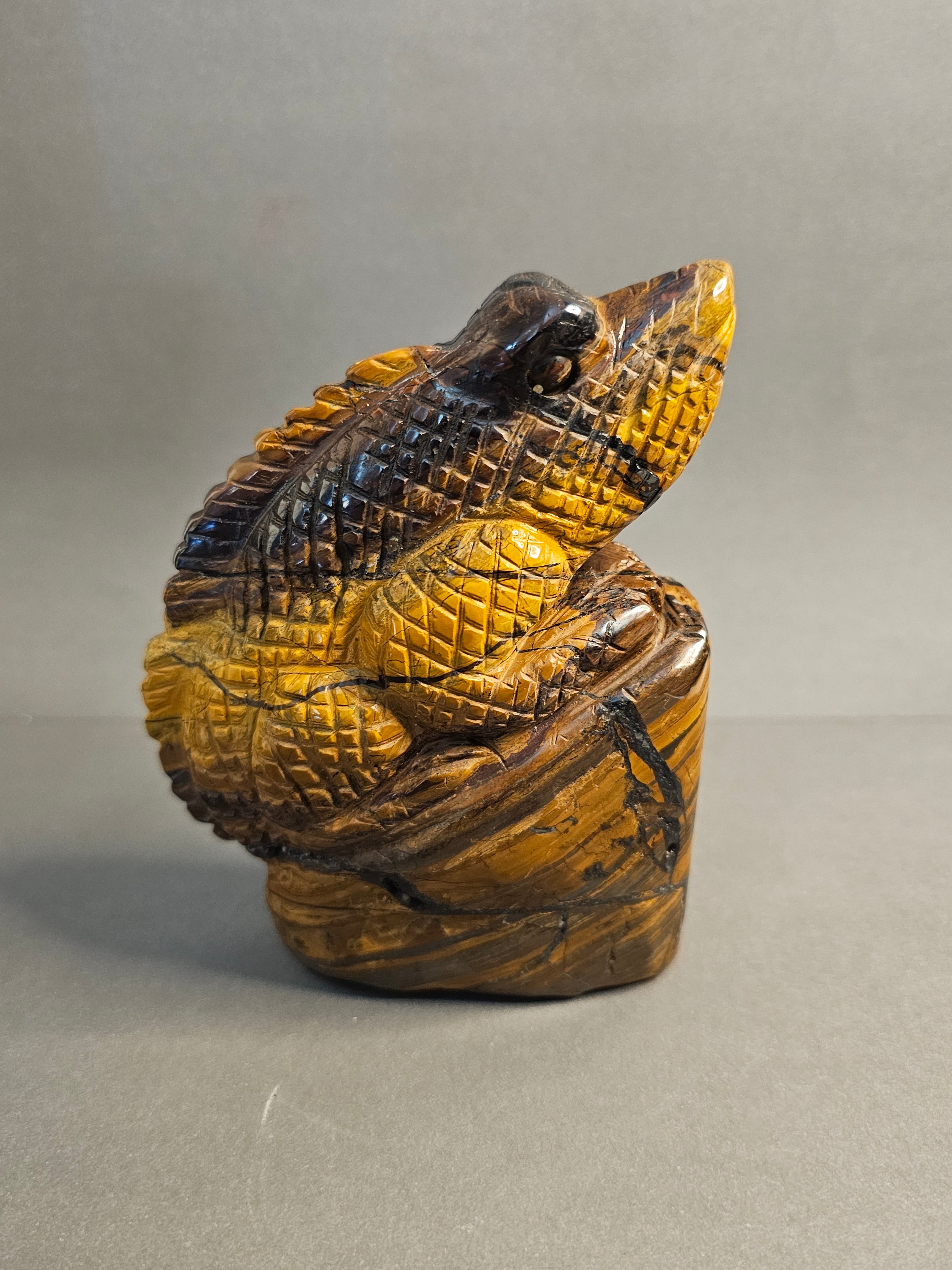 Left side of Tiger's Eye Lizard, option 1