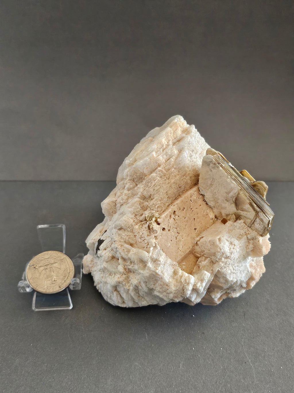 Albite with Golden Mica & Black Tourmaline – Protection & Clarity Crystal Specimen | 3.5 Inches