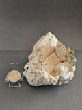 Albite with Golden Mica & Black Tourmaline – Protection & Clarity Crystal Specimen | 3.5 Inches
