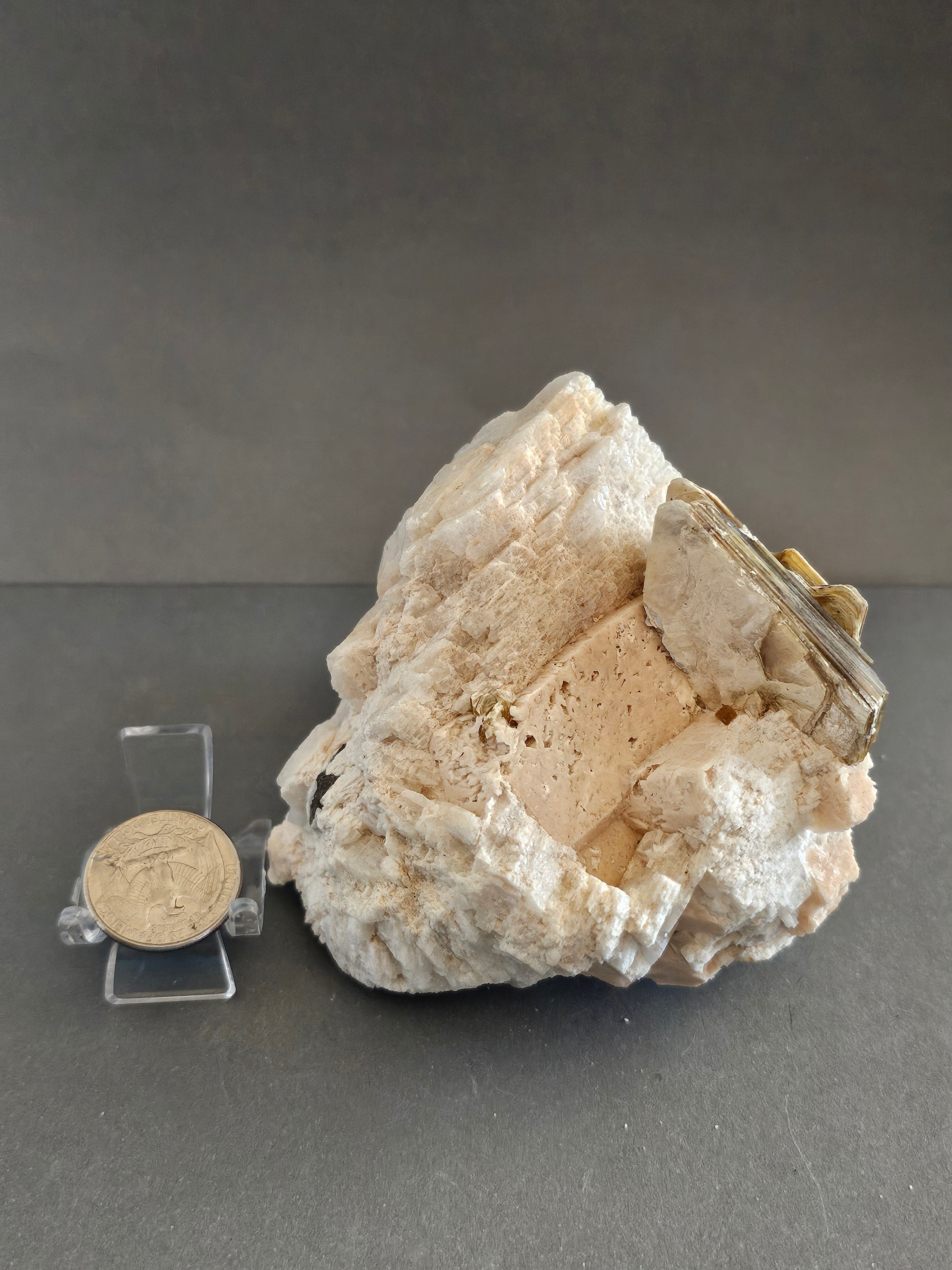 Albite with Golden Mica & Black Tourmaline – Protection & Clarity Crystal Specimen | 3.5 Inches
