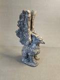 Crinoid Fossil Griffin – Ancient Earth Mythical Carving | 6 Inches