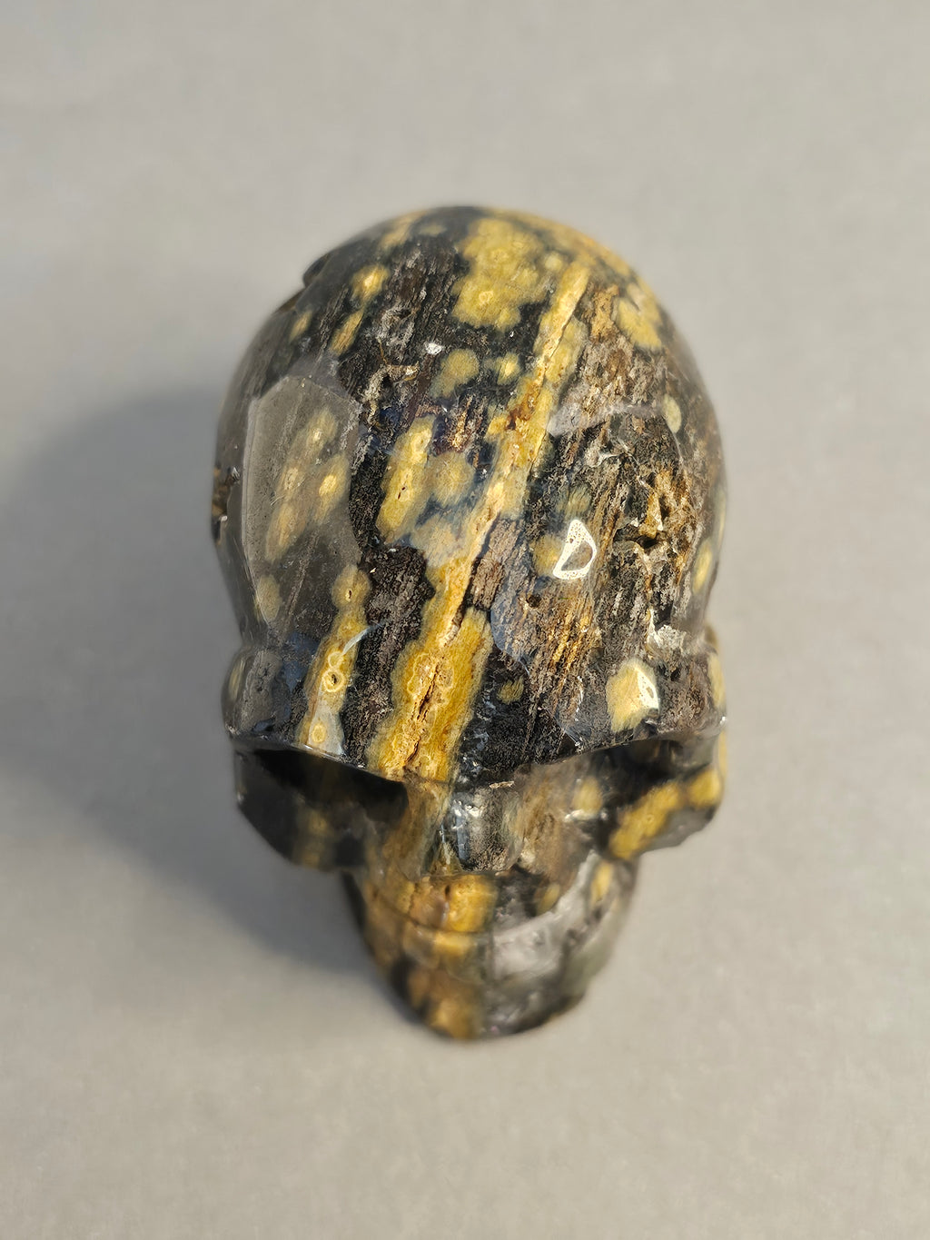 Ocean Jasper Skull – Orbicular Pattern Crystal Skull | 2 Inches