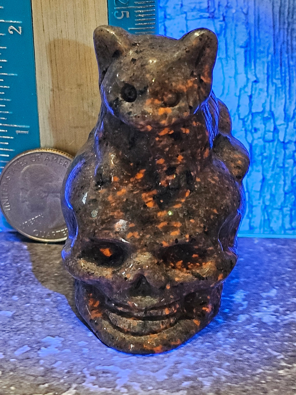 Skull with Cat
