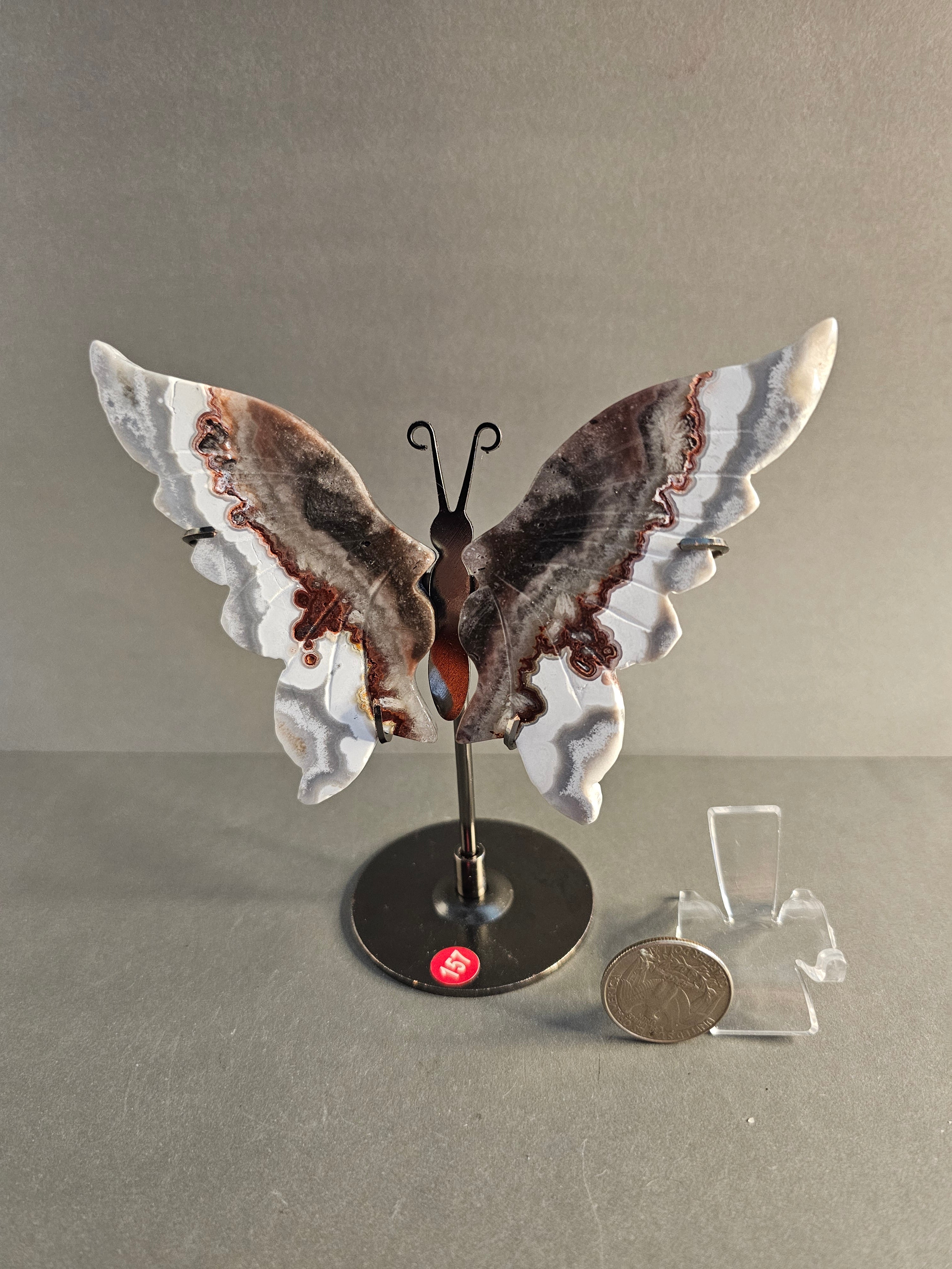 Mexican Lace Agate Butterfly Wings on Stand – Transformation & Joy Crystal Display | 5 Inches Tall