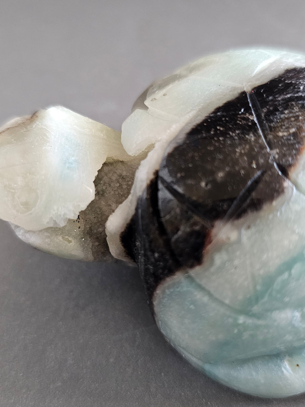 Caribbean Calcite Sea Turtle – Calm & Flow Crystal Carving | 4.25 Inches