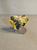 Bumblebee Jasper Heart