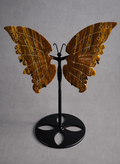 Tiger Iron Butterfly Wings on Stand – Strength & Transformation Crystal Display | 10 Inches Tall