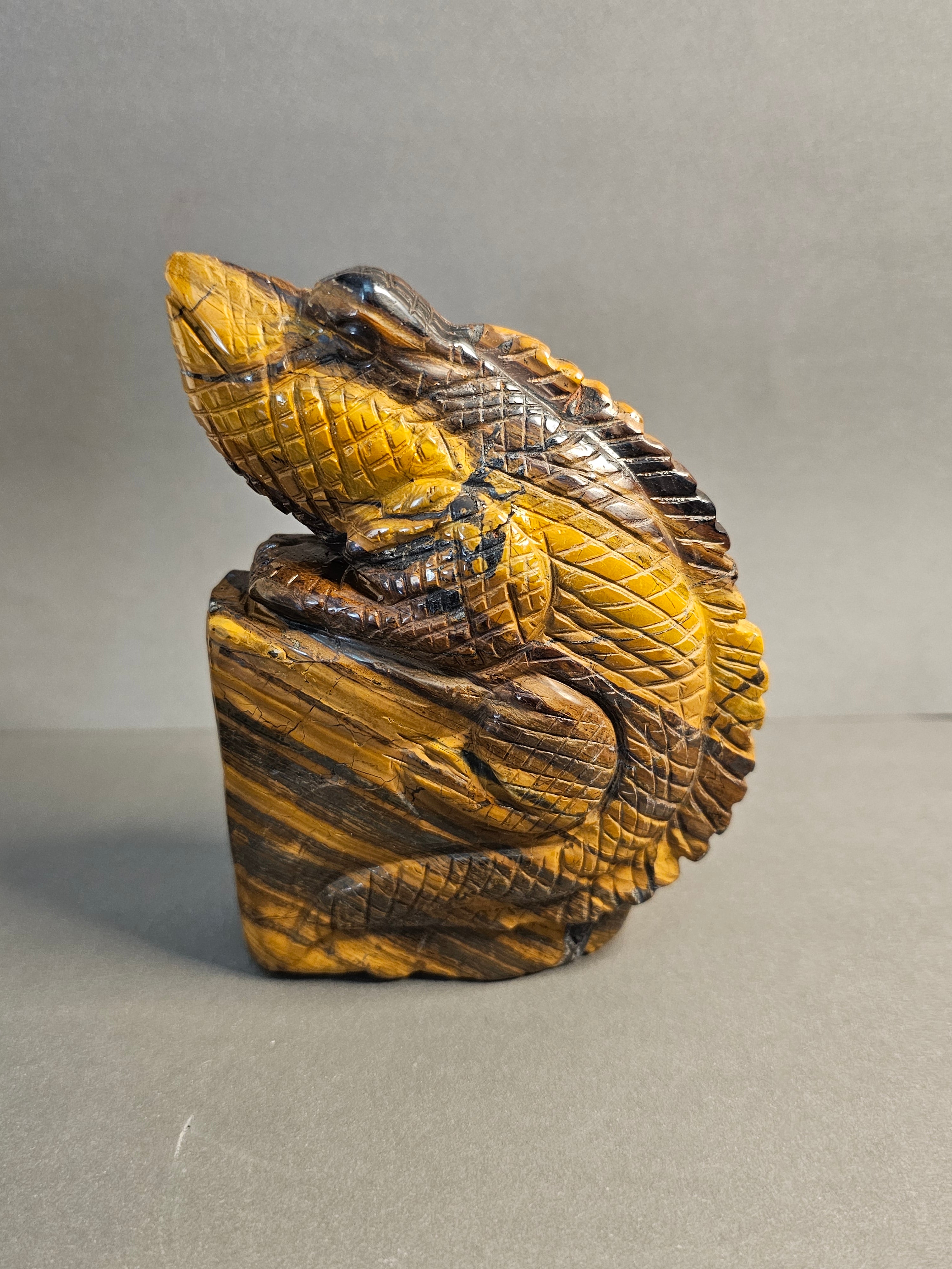 Right side of Tiger's Eye Lizard, option 1