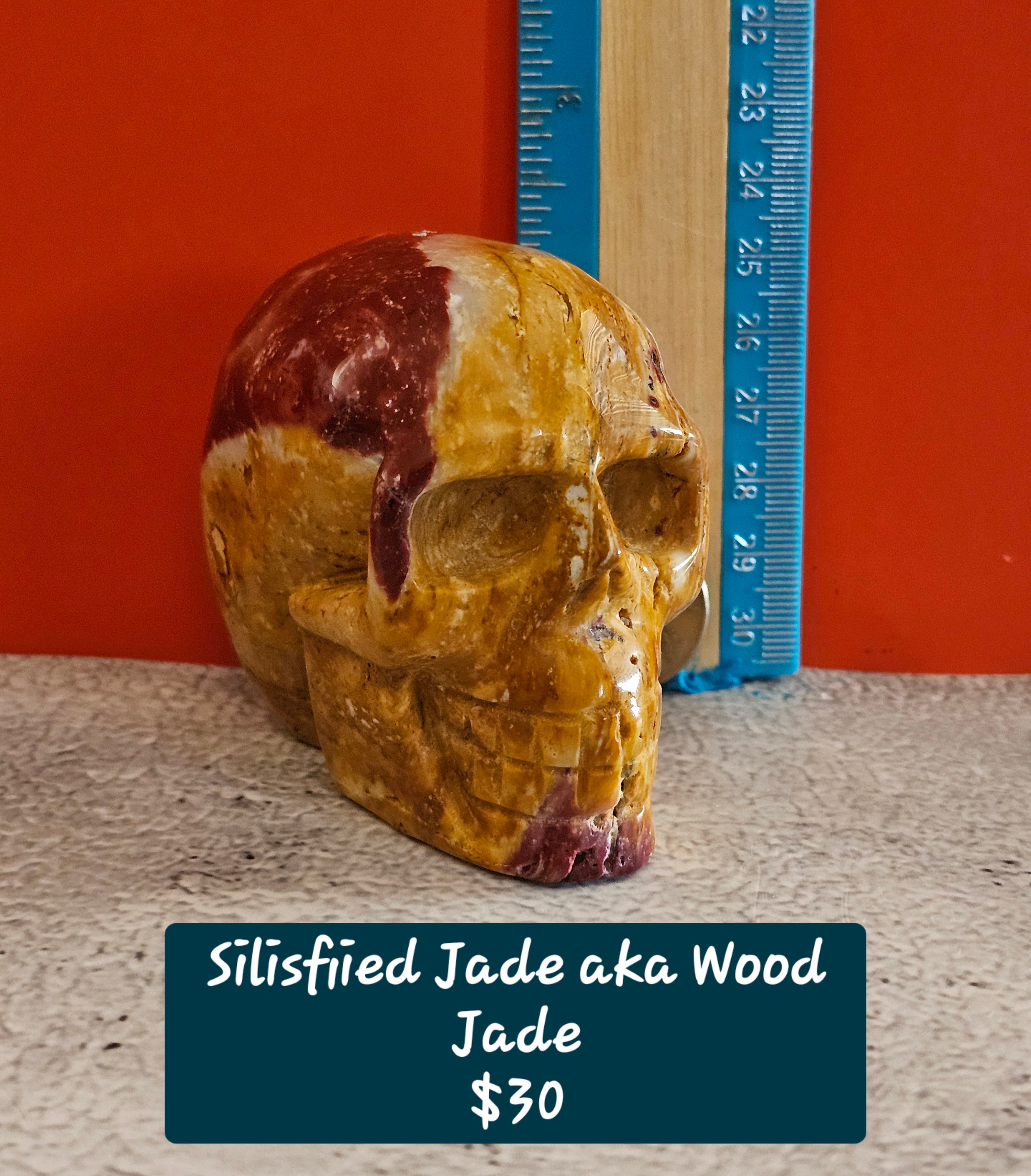 Silicified Jade Skull – Earth-Formed Crystal Skull | 2.5 Inches